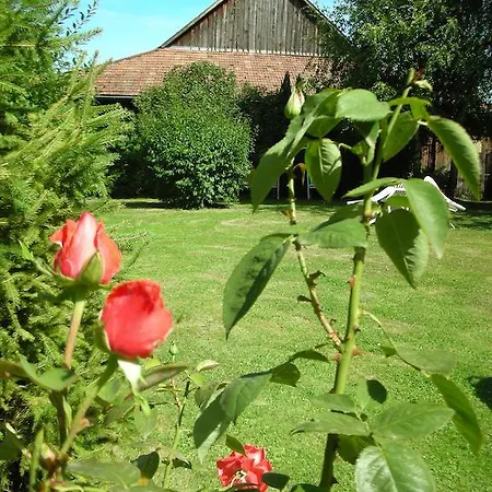 L'hote Antique 3*