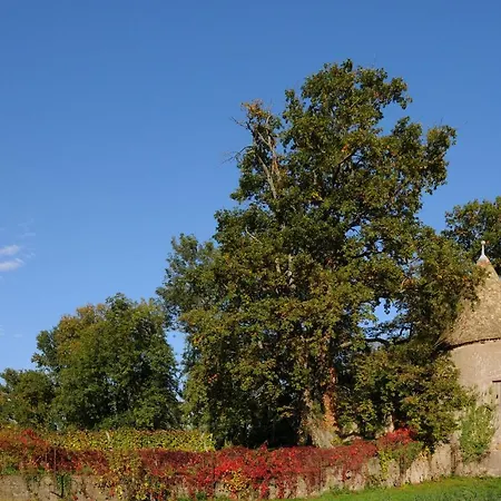 Bed & Breakfast L'hote Antique 3*